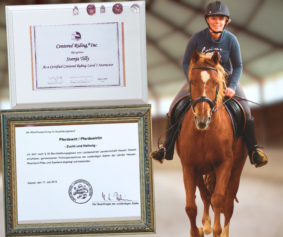 Svenja Tilly reitet auf ihrem Pferd im Galopp auf den Betrachter zu. Daneben sind ihre Ausbildungszertifikate als Centered Riding Instructor und Pferdewirtin zu sehen.