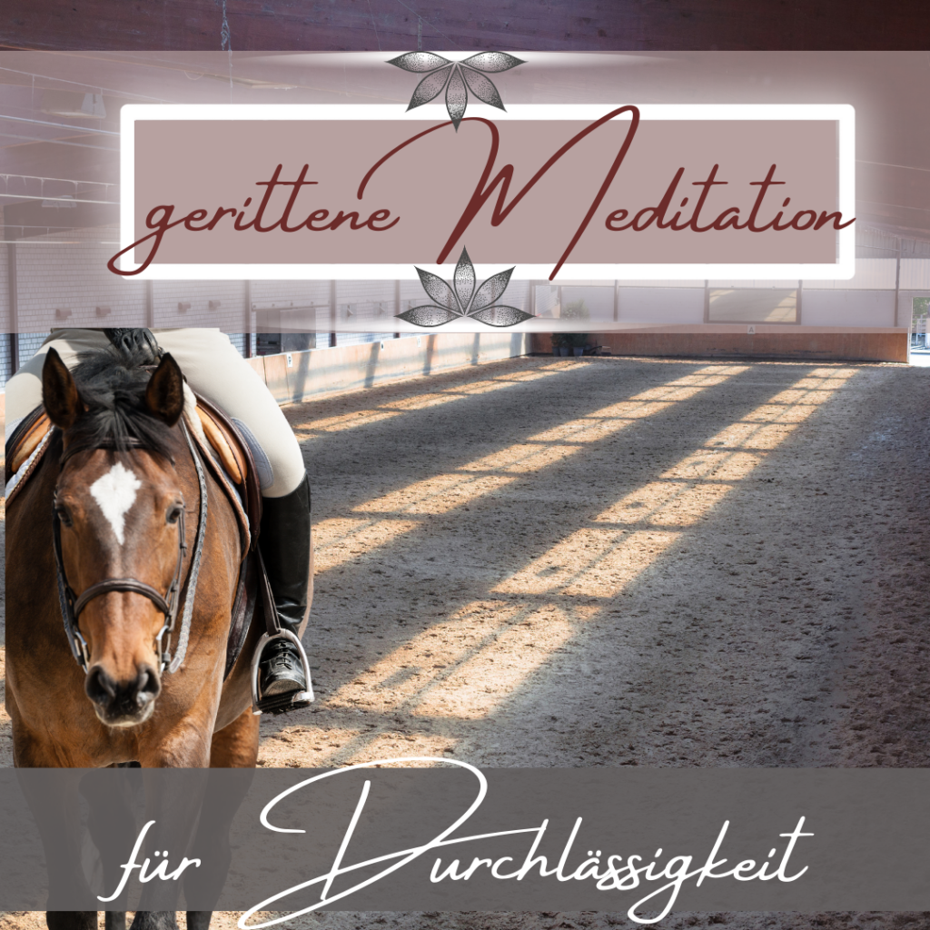 Die gerittene Meditation für mehr Durchlässigkeit von Reiter und Pferd